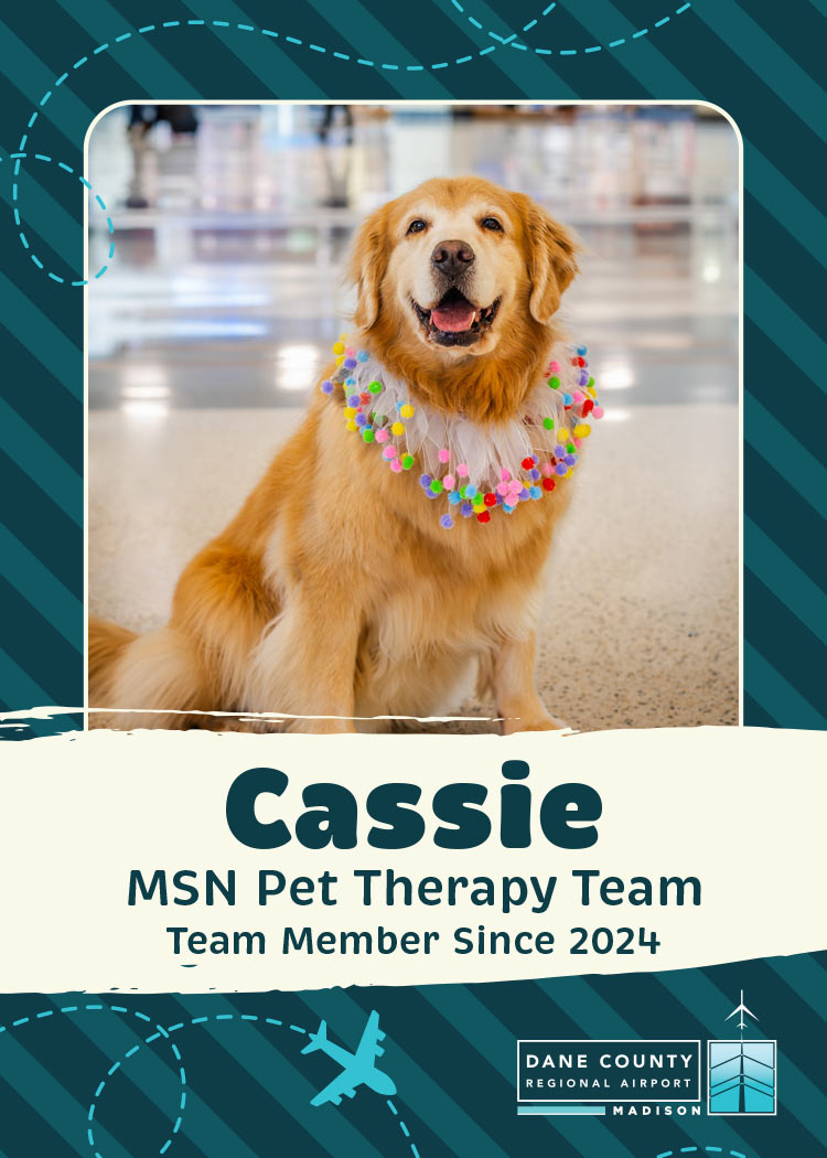 Cassie Pet Therapy Dog