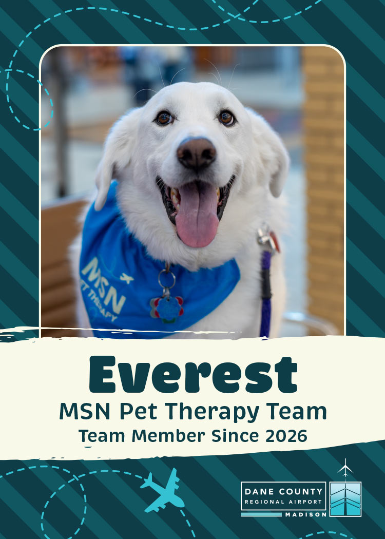 Everest Pet Therapy Dog