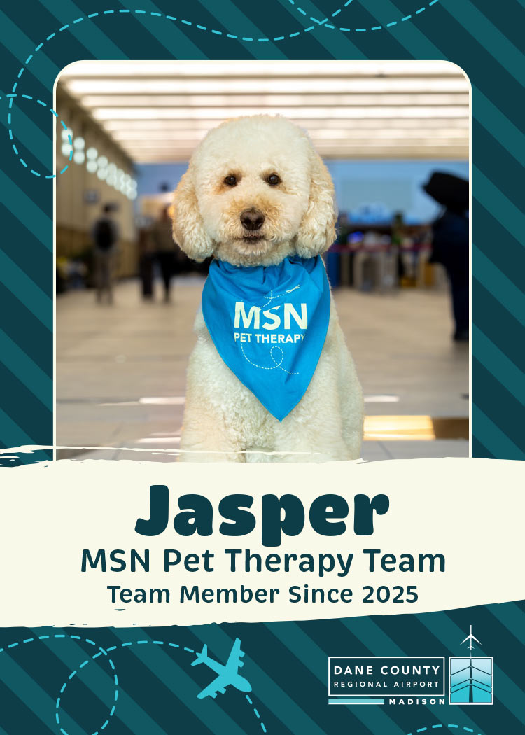 Jasper Pet Therapy Dog